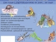 Boskabouter Luister CD - Insekte (Die Ontvoering) picture 1531