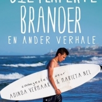 Die Perfekte brander image